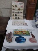 A collection of minerals