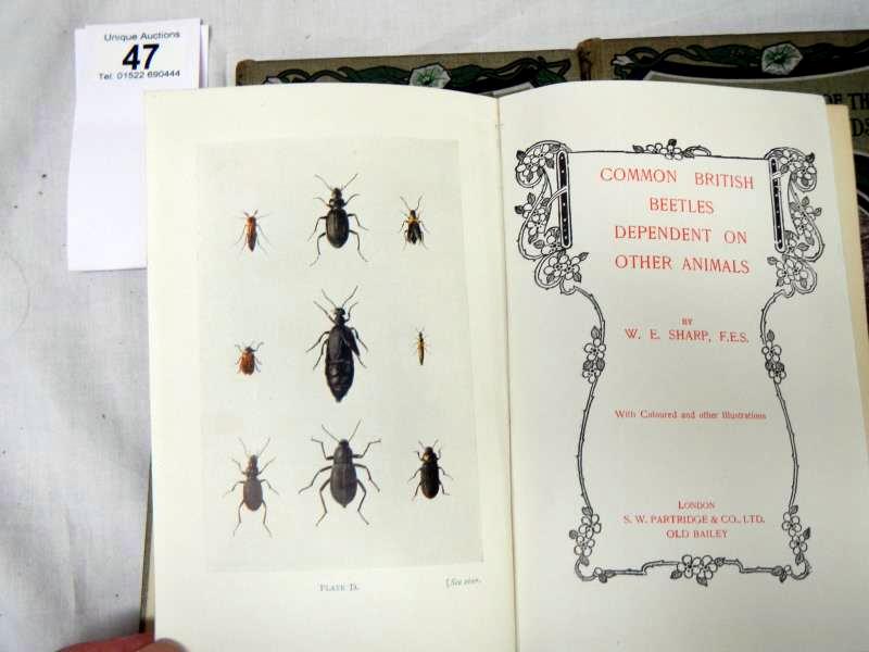 Sharp W. E., Common Beetles of the British Lowlands and three other Beetle books - Bild 5 aus 7