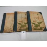 Artistic Japan Vols IV, V, VI by S Bing 1890 / 1891 (some loose pages)