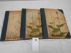 Artistic Japan Vols IV, V, VI by S Bing 1890 / 1891 (some loose pages)