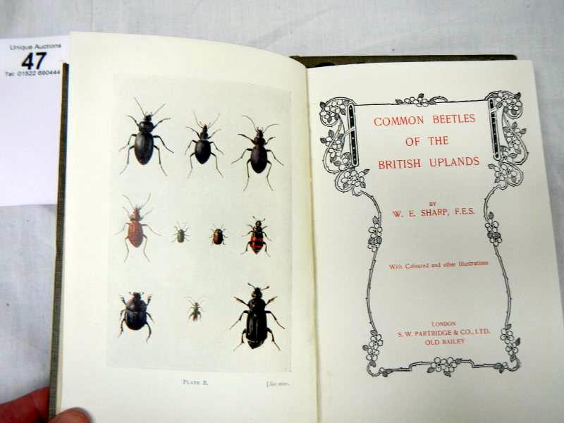 Sharp W. E., Common Beetles of the British Lowlands and three other Beetle books - Bild 6 aus 7