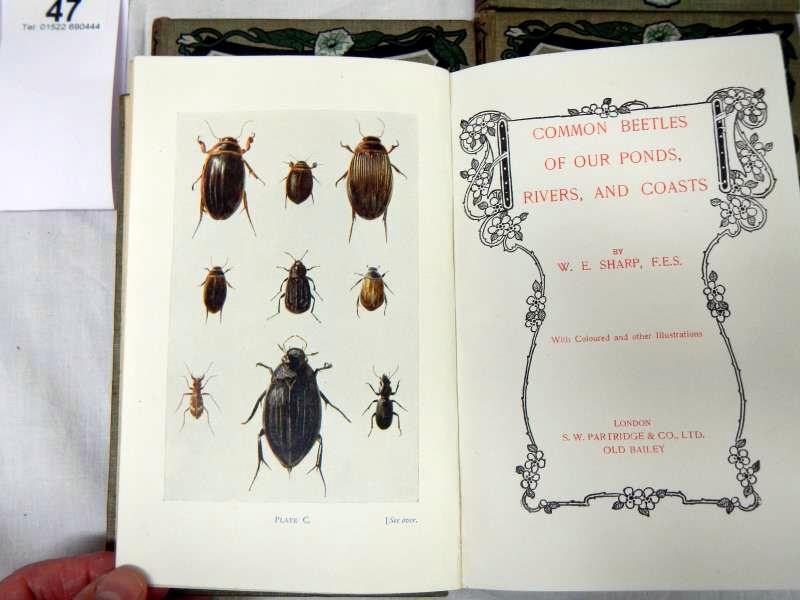 Sharp W. E., Common Beetles of the British Lowlands and three other Beetle books - Bild 4 aus 7