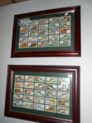 2 framed and glazed sets of cigarette cards being fish