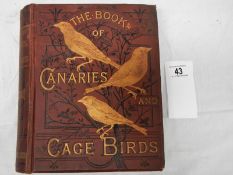 The Book of Canaries and Cage Birds by Blakston, Swaysland and Wiener,