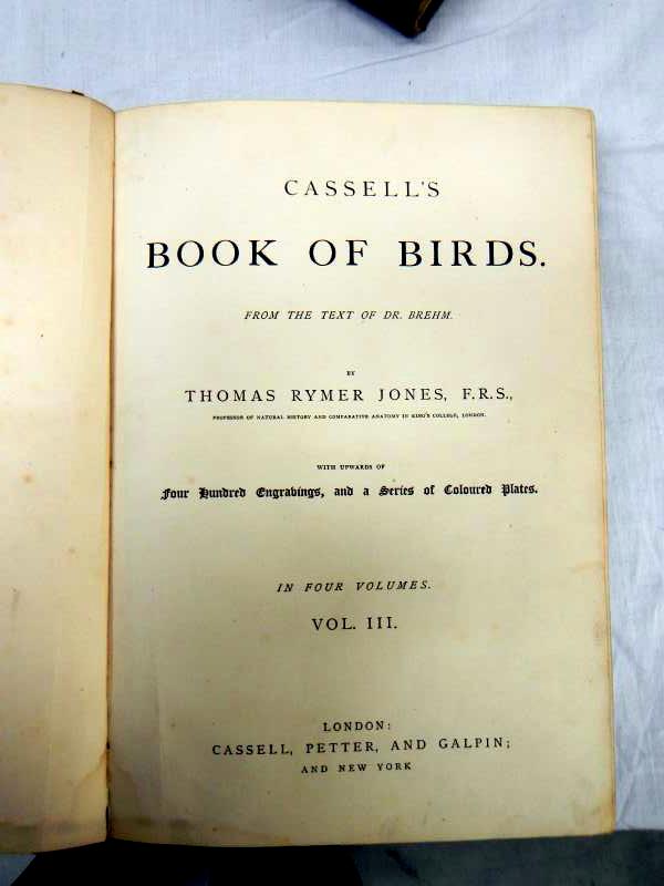 Book of Birds Vols I & II and III & IV in two books by Thomas Rymer Jones, c 1897 - Bild 5 aus 5