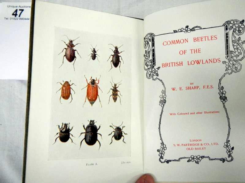 Sharp W. E., Common Beetles of the British Lowlands and three other Beetle books - Bild 7 aus 7