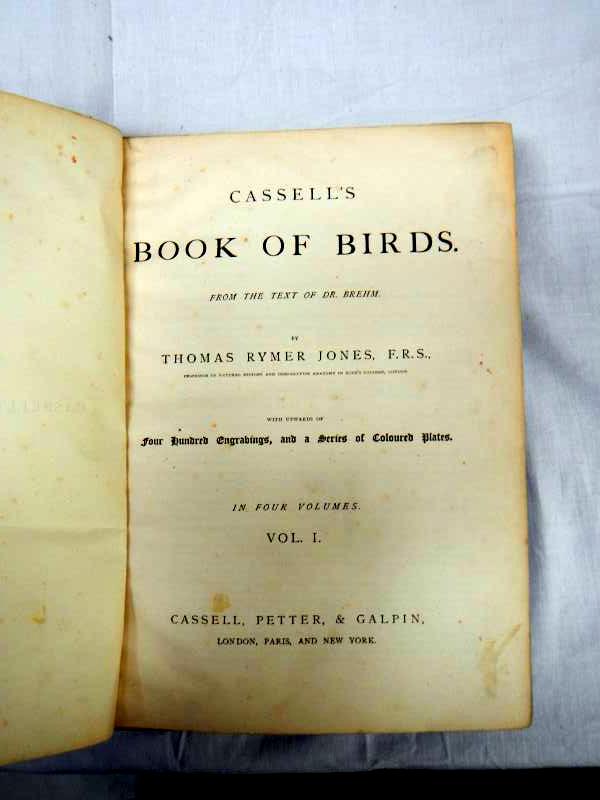 Book of Birds Vols I & II and III & IV in two books by Thomas Rymer Jones, c 1897 - Bild 3 aus 5