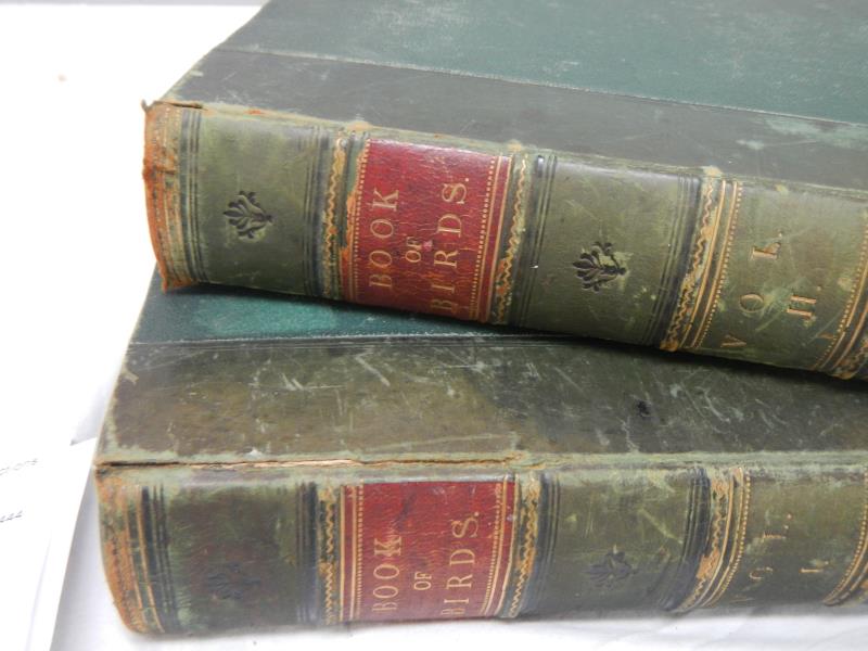 Book of Birds Vols I & II and III & IV in two books by Thomas Rymer Jones, c 1897 - Bild 2 aus 5