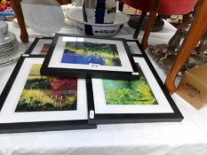5 framed and glazed pictures by Pledent