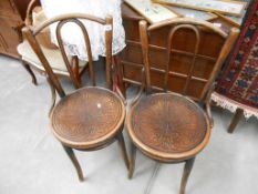 A pair of bentwood chairs