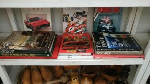 A collection of Formula 1 & other books on racing