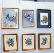 6 bird/ornithological prints including Easton, Thorburn, Ede & Vortigern etc.