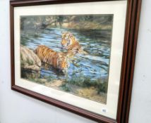A framed & glazed print of tigers in river, after Willem S De Beer
