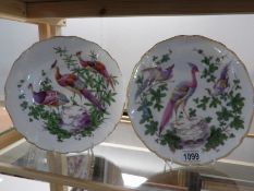 Two hand painted exotic bird plates by James Giles (1717-1780),