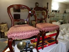 A pair of Victorian mahogany cabriole leg chairs