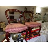 A pair of Victorian mahogany cabriole leg chairs