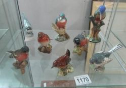 5 Beswick birds and 3 others