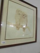 A framed and glazed print of 2 owls