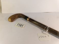 A walking stick with horn handle and gold band