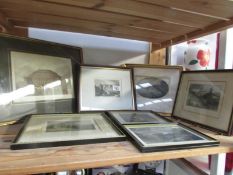 7 framed and glazed engravings