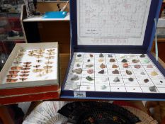 A cased set of gems and minerals together with a collection of moths