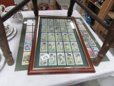 A framed and glazed set of cricket related cigarette cards and an unframed floral set
