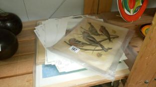 A quantity of prints including birds, fox hunting,