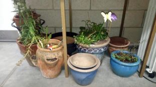 A quantity of garden pots