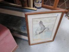 4 framed and glazed prints