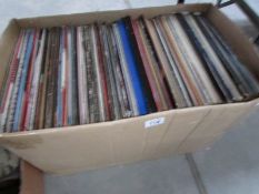 A collection of approximately 175 records