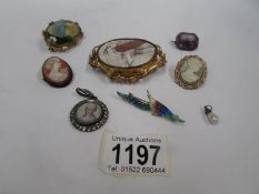 7 antique brooches including cameo