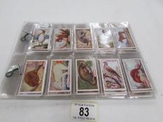 A set of Gallagher's wild animal cigarette cards