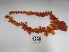 A large yellow amber necklace