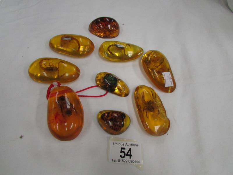 8 insects set in resin