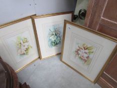 3 framed and glazed watercolour floral studies