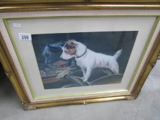 A framed and glazed dog print