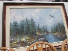 A framed and glazed eagle in flight study signed A M Roberts