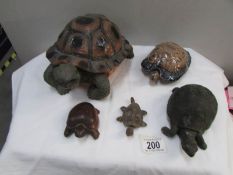 A Wade tortoise and 4 others