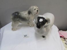 A David Stuart ram and an old English sheep dog