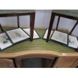 6 framed and glazed botanical prints