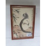 A framed and glazed drawing of a cat by Chen Shui Kang,