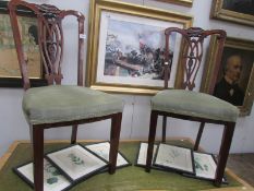 A pair of mahogany chairs