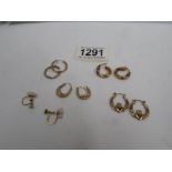 5 pairs of 9ct gold earrings,