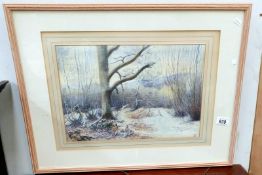 A good modern watercolour of pheasants in wood,