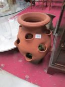 A terracotta strawberry growing pot