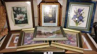 A shelf of frames & pictures