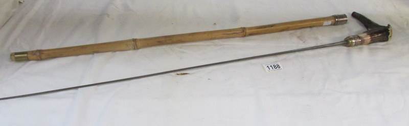 A sword stick with horn handle - Image 3 of 3