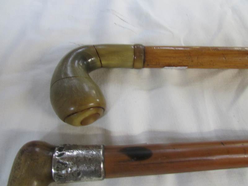 3 walking sticks with horn handles - Image 4 of 4