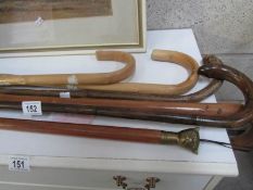 6 walking sticks