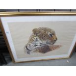 A framed and glazed limited edition signed print 'A Leopard study' by Kim Brooks